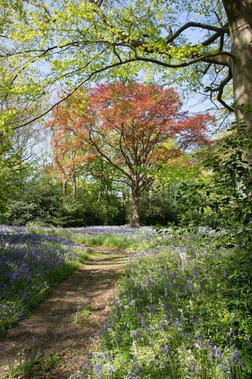 Stinzenwandeling op Landgoed Calorama